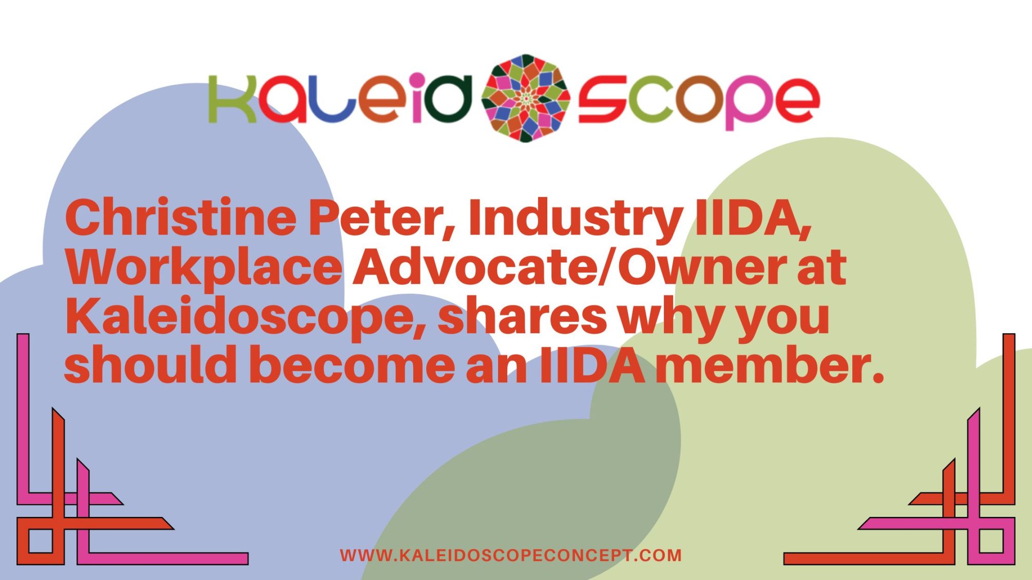 why you should become an IIDA member